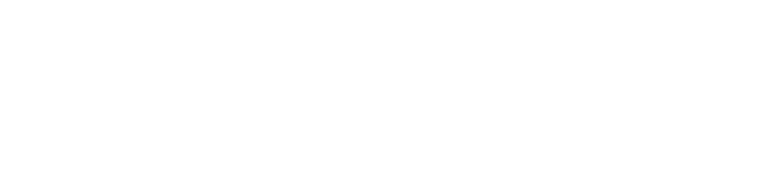 logo heyne