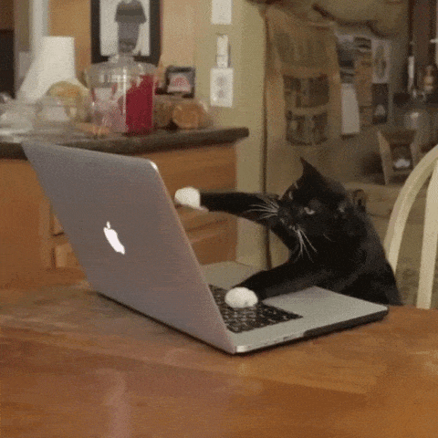 giphy-12