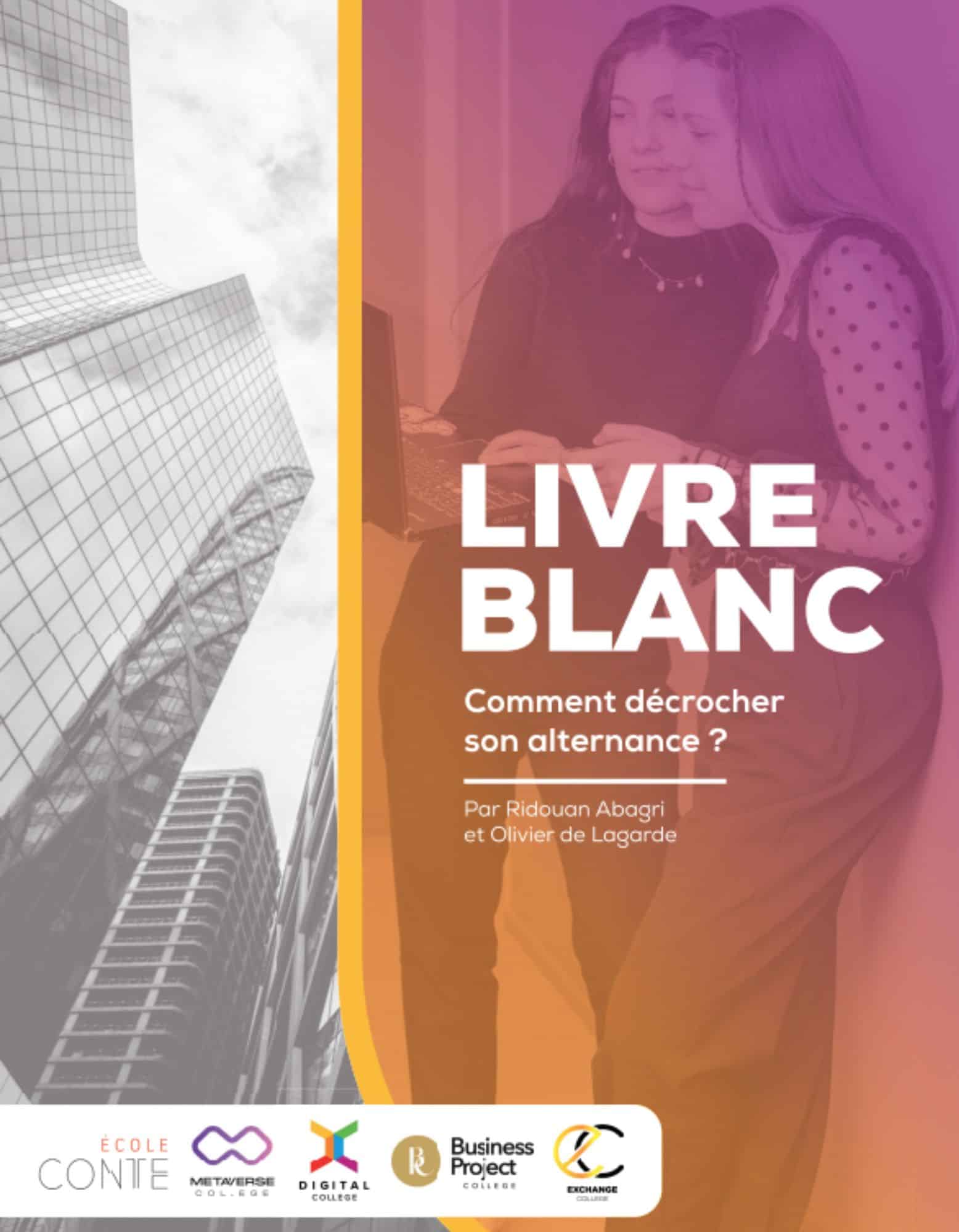 Livre blanc avec des conseils pour avoir un contrat